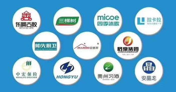 如何在眾多大數據營銷公司中慧眼識珠？選擇靠譜服務商的全面指南